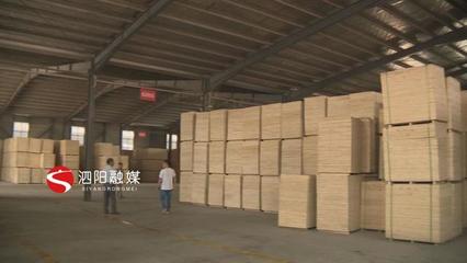 泗阳县三庄镇:加快木业转型升级提高安全生产意识